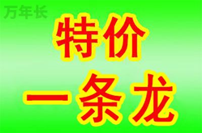 福建省武夷山市公墓一览表及墓地价格 